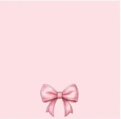 ☆ドナ☆★様 リクエスト 2点 まとめ商品