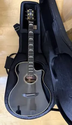 取り置き中です）【最終値下げ】Takamine TDP861C BL 中古 - メルカリ