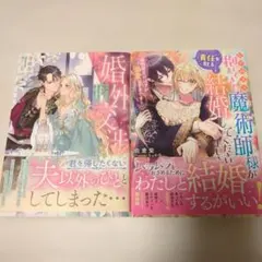 なりゆきで抱いてきた魔術師様が「責任を取る」と結婚してくださいまして／婚外交渉