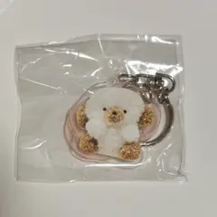 じょせまる らて ポップアップ きぃほるだあ おえかき展