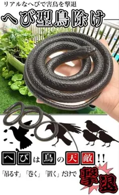 Item thumbnail for item 740a8bae-3dcc-4620-8a67-a954a7496d77