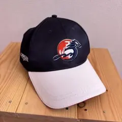 2025 香港国際競走　キャップ　ロマンチックウォリアー　カーインライジング