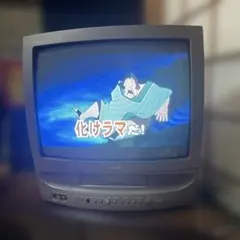 Item thumbnail for item 10a87a9b-29f0-470e-a431-0acc6f7be274