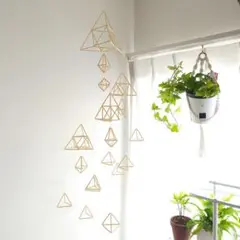 ストローヒンメリ 麦わら色 ☆森の雫Ⅱ☆