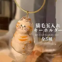2点セット うちの子のけだまだま風 ガチャ　ねこ　ネコ　猫　毛玉　キーホルダー