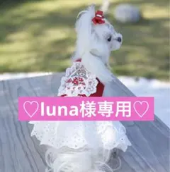 ♡luna様専用ページ♡