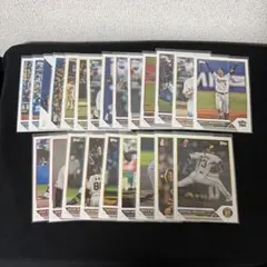 Item thumbnail for item 2cc455ea-4d49-4bf4-acff-142d36bf72d7