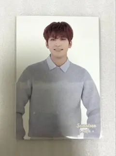 SEVENTEEN CAFE 2021 CHEESE PARK ウォヌ