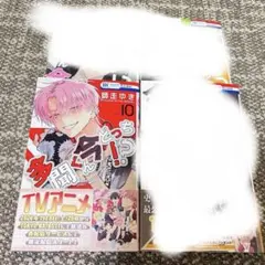 多聞くん今どっち！？ 8-11巻 師走ゆき 花とゆめ4冊セット