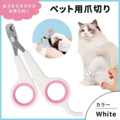 Item thumbnail for item 74c025af-240d-4bd2-9d4a-1be0903c0455