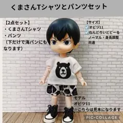くまさんTシャツとパンツセット☆オビツ11・ねんどろいどどーる服のサムネイル