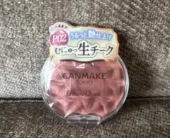 CANMAKE キャンメイク クリームチーク P02 パールタイプ