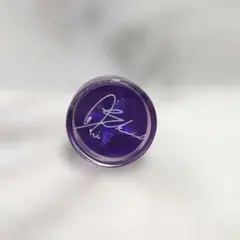 Item thumbnail for item 0e94a861-78c7-4ecd-9781-330dd6af27da