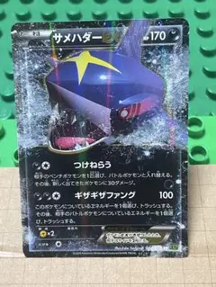 サメハダーEXBWXY厳選コレクションのサムネイル