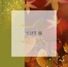 てけT様 リクエスト 3点 まとめ商品