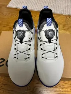 2026年最新】ecco biom c4 boaの人気アイテム - メルカリ