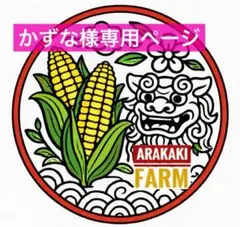 かずな様専用ページ！農家直送、沖縄産とうもろこし(サニーショコラ )