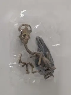 恐竜 骨格 フィギュア ミニチュア