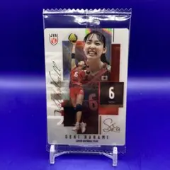 2026バレーボール日本代表 ツインウエハースカード 関 菜々巳 まとめ売り