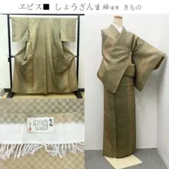 きものヱビス■ しょうざん生紬 きもののサムネイル