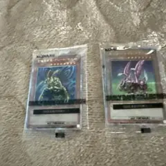 2025年最新】EARLY days collectionの人気アイテム - メルカリ