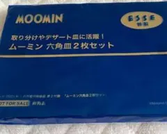 ESSE2025年1月号　特装版付録「ムーミン 磁器の六角皿　2枚セット」のサムネイル