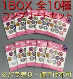 寺田てら シークレットホログラム缶バッジ 1BOX 全10種 コンプリートセット