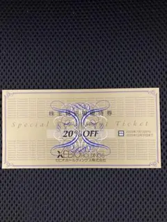 ゼビオホールディングス　株主特別御優待券 ２０％OFF　１枚