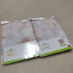 Item thumbnail for item 7beef188-5354-4895-9a9c-79ad3a7363dd