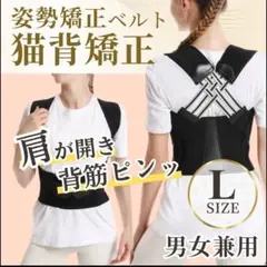 Item thumbnail for item 80effc18-208f-4eab-94e5-635dcca84fb7