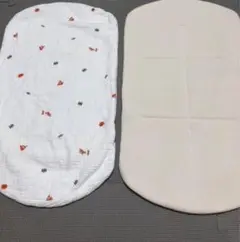 Item thumbnail for item 2e10229a-dfe3-457b-9054-6b7d9bd5ea03