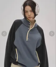 極美品 柴田ひかり L Patagonia パタゴニア スナップT シンチラ - メルカリ