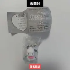 【匿名配送】めじるしアクセサリー サンリオ エモきゅん ポチャッコ