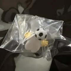 しりみみうさぎ サッカー めじるしチャーム マスコット