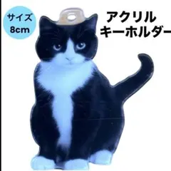 Item thumbnail for item 191c4887-fc91-4a17-ae05-5760236f2c56