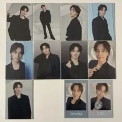 SEVENTEEN ディノ NEW_ トレカ インスタントフォト 11種