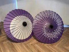 Item thumbnail for item 7b733890-3d00-4041-bf1c-dde020dea9a1