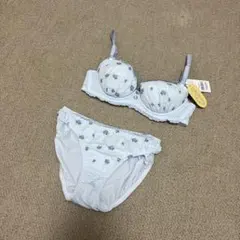 Item thumbnail for item 0d5a2b67-3afa-414b-9489-18cf22af31bc