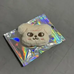2026年最新】puppym ぬいぐるみの人気アイテム - メルカリ