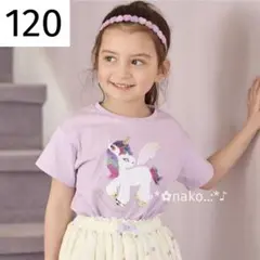 2026年最新】any fam 120の人気アイテム - メルカリ