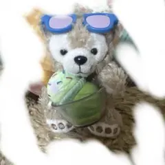 ディズニーシー ダッフィー サニーファン 2019 マスコット