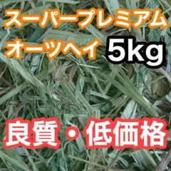 Item thumbnail for item 6682327e-fe35-4fc3-ba43-ac9a6da5388d