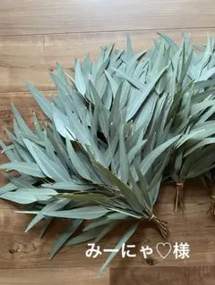 みーにゃ♡様専用