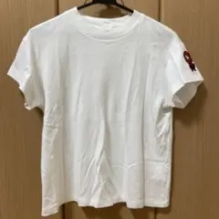 Item thumbnail for item 2c2d1b6d-f2e6-4db4-8911-0b416ad87e0a