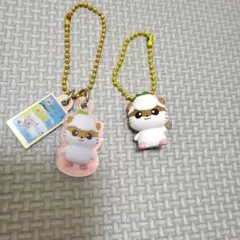 コロコロクリリン 2点セット