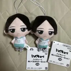 【国見英】ハイキュー!! ぬいぐるみちゃーむvol.1