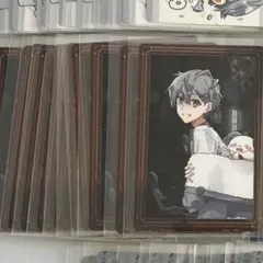 airlyl様　カラフルピーチ　ヒロ　トレカ11枚　カラフルピ－チミュージアム