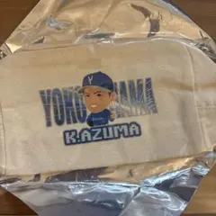 横浜ベイスターズ 東克樹　ポーチ