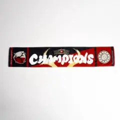 鹿島アントラーズ 2025 Jリーグ優勝記念 ニットマフラー タオル