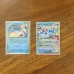 イルカマンマスターボール グレイシアex RR SV8a テラスタルフェスex